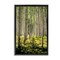Stupell Industries Small And Tall Birch Forest Floating Frame, design by D. Burt
